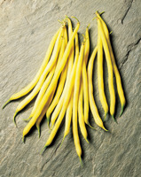 FRUIDOR