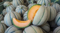 Melon