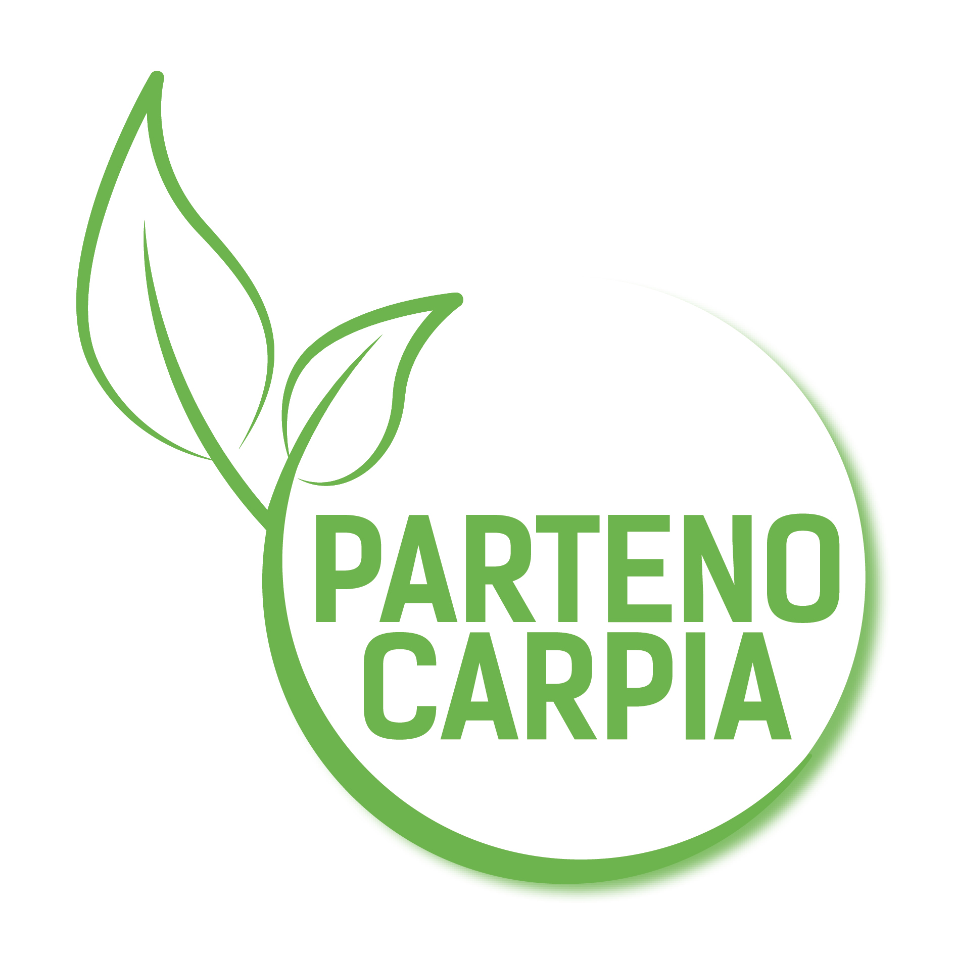 Parthenocarpy